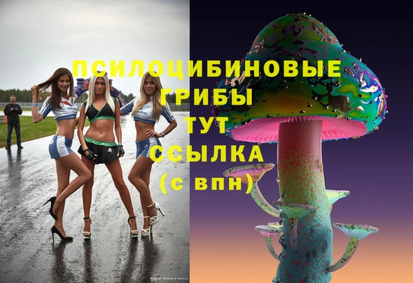 мяу мяу кристалл Вяземский
