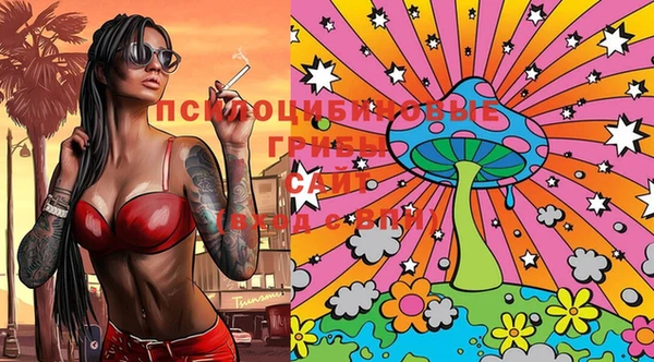 ГАЛЛЮЦИНОГЕННЫЕ ГРИБЫ Сясьстрой