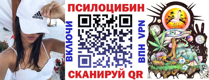 Псилоцибиновые грибы GOLDEN TEACHER цена Далматово